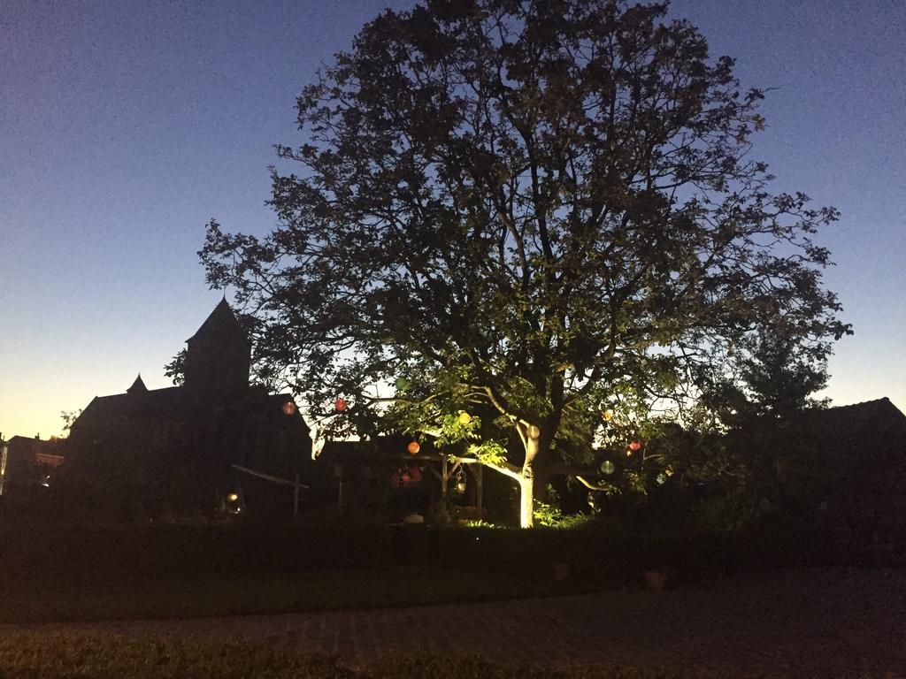 雷尼格尔斯特德棱特梅斯特霍维床和早餐旅馆住宿加早餐旅馆 外观 照片